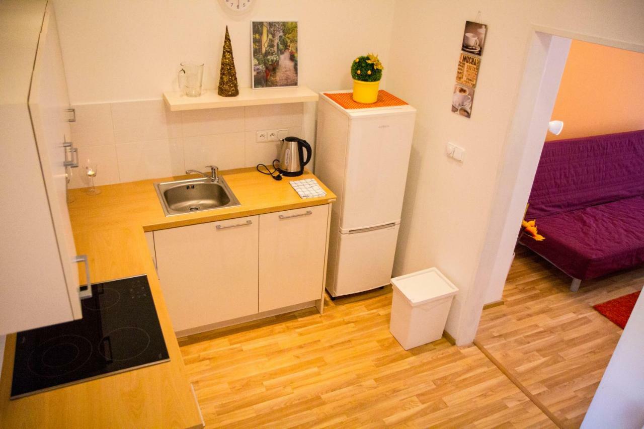 Lidicka Apartment Praga Exterior foto